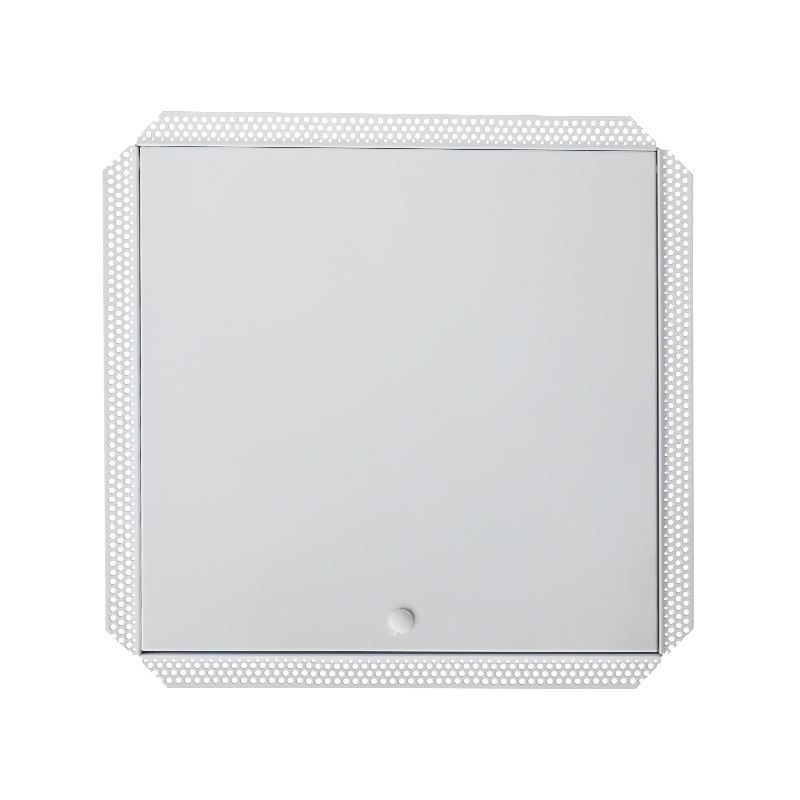 SS-AP251 čelična pristupna ploča